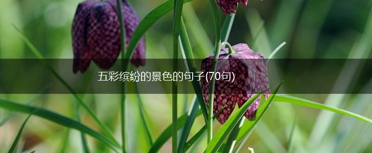 五彩缤纷的景色的句子(70句),第1张