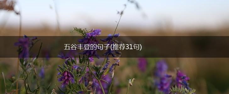 五谷丰登的句子(推荐31句),第1张