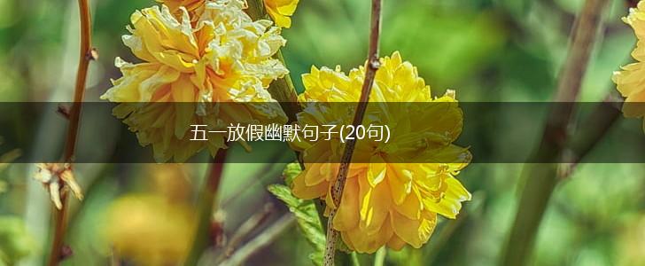 五一放假幽默句子(20句),第1张