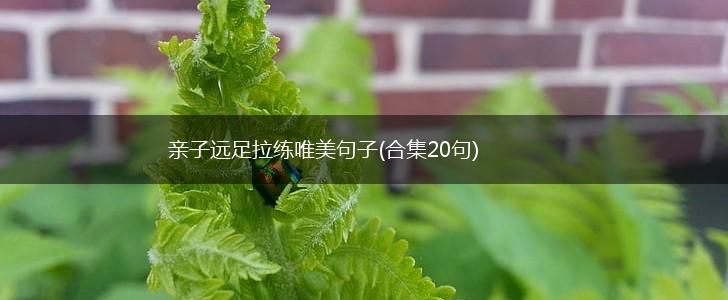 亲子远足拉练唯美句子(合集20句),第1张