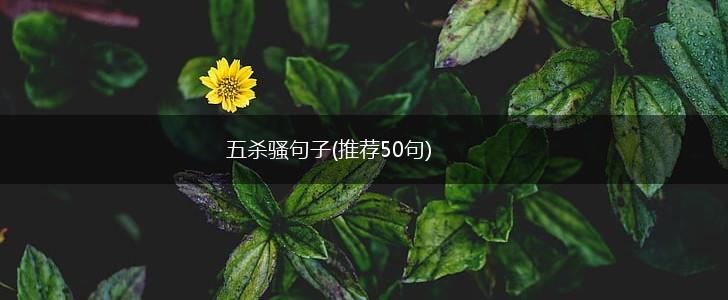五杀骚句子(推荐50句),第1张