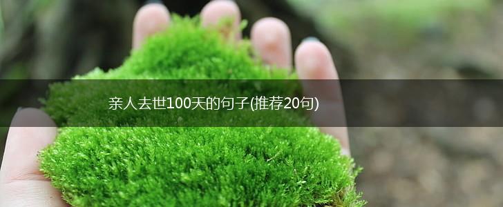 亲人去世100天的句子(推荐20句),第1张