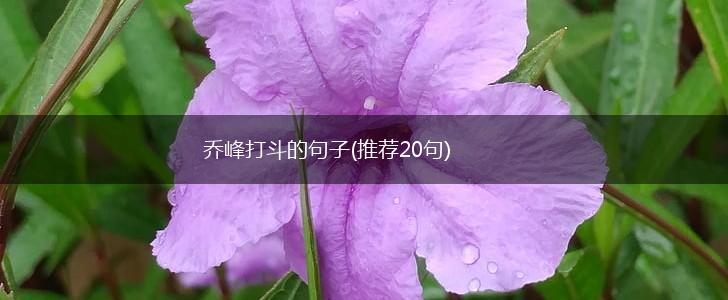 乔峰打斗的句子(推荐20句),第1张