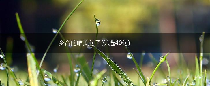 乡音的唯美句子(优选40句),第1张