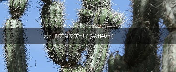 云南的美食赞美句子(实用40句),第1张