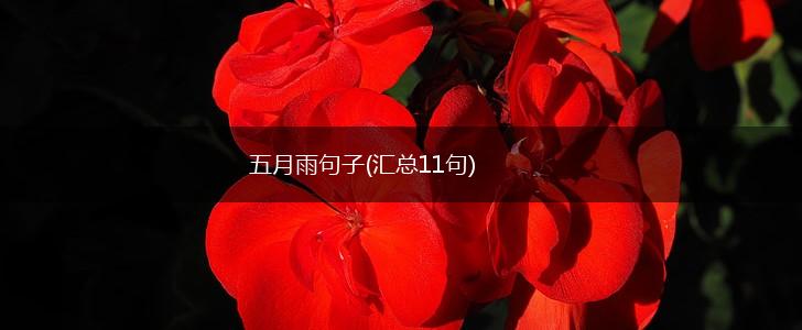 五月雨句子(汇总11句),第1张