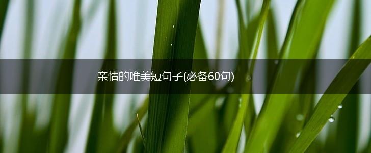 亲情的唯美短句子(必备60句),第1张