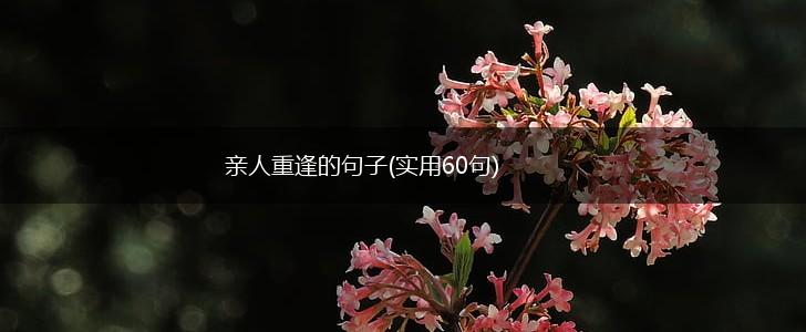 亲人重逢的句子(实用60句),第1张