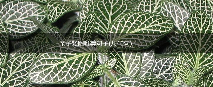 亲子竖图唯美句子(共40句),第1张