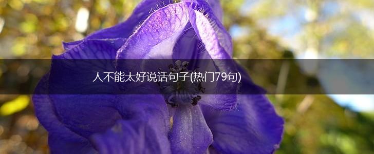 人不能太好说话句子(热门79句),第1张