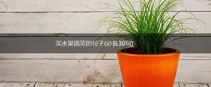 买水果搞笑的句子(必备30句),第1张