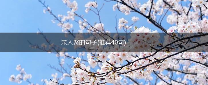 亲人聚的句子(推荐40句),第1张