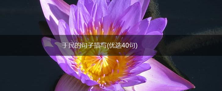 于民的句子描写(优选40句),第1张