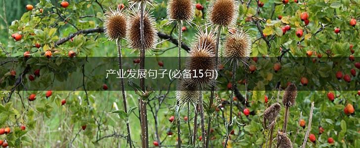 产业发展句子(必备15句),第1张