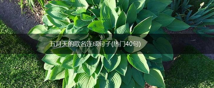 五月天的歌名连成句子(热门40句),第1张