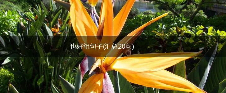 也好组句子(汇总20句),第1张