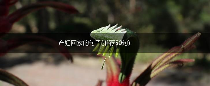 产妇回家的句子(推荐50句),第1张