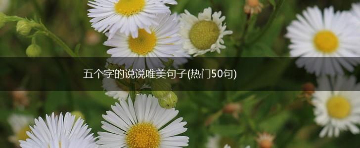 五个字的说说唯美句子(热门50句),第1张
