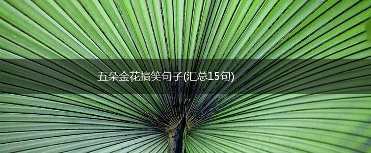 五朵金花搞笑句子(汇总15句),第1张