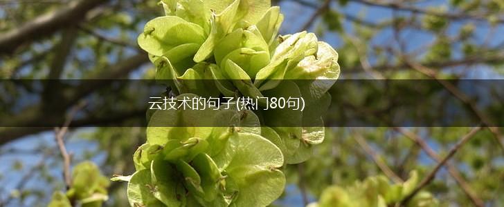 云技术的句子(热门80句),第1张 云技术的句子(热门80句),第1张