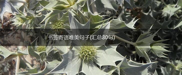 书签寄语唯美句子(汇总80句),第1张