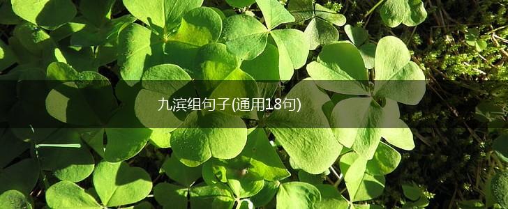 九滨组句子(通用18句),第1张