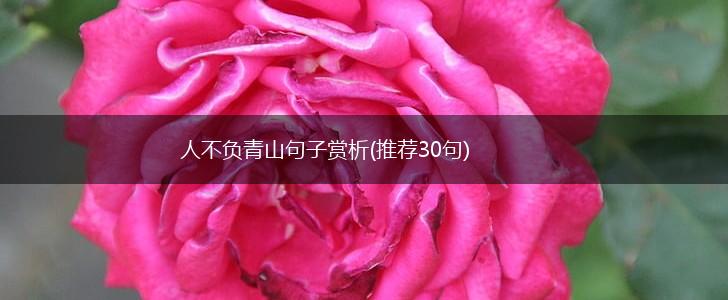 人不负青山句子赏析(推荐30句),第1张