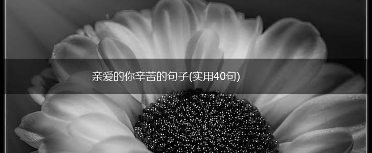 亲爱的你辛苦的句子(实用40句),第1张