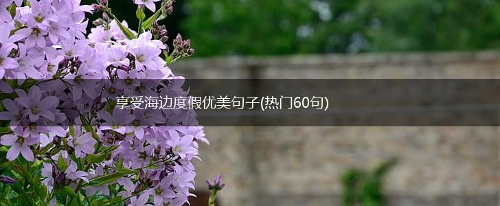 享受海边度假优美句子(热门60句),第1张