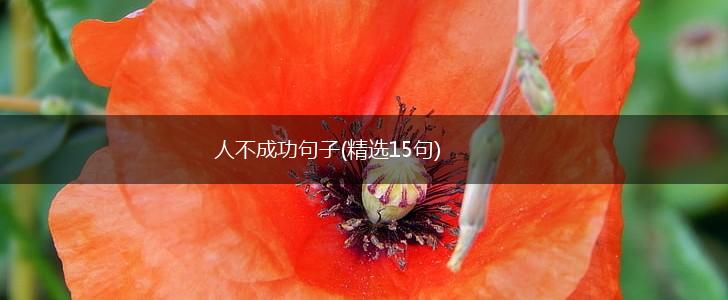 人不成功句子(精选15句),第1张