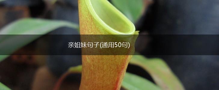 亲姐妹句子(通用50句),第1张