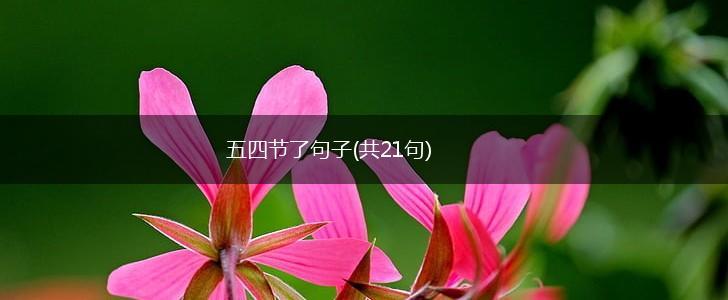 五四节了句子(共21句),第1张
