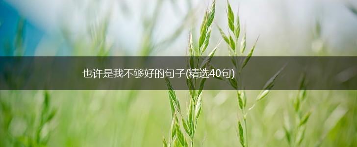 也许是我不够好的句子(精选40句),第1张