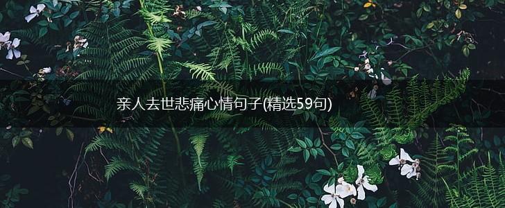 亲人去世悲痛心情句子(精选59句),第1张