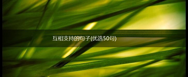 互相支持的句子(优选50句),第1张