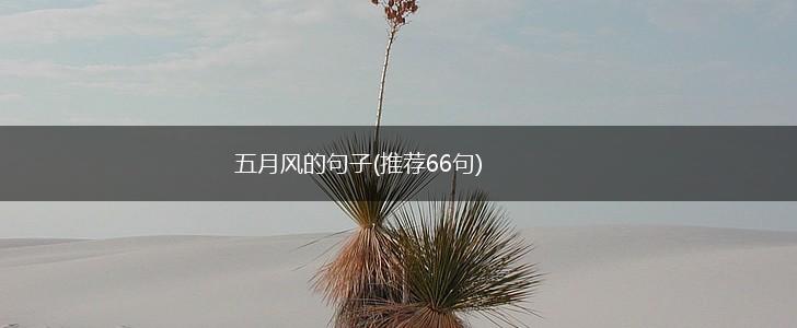 五月风的句子(推荐66句),第1张