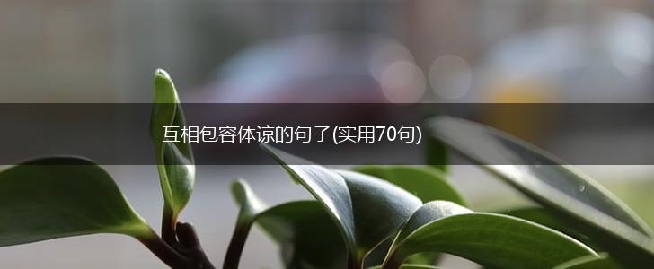 互相包容体谅的句子(实用70句),第1张