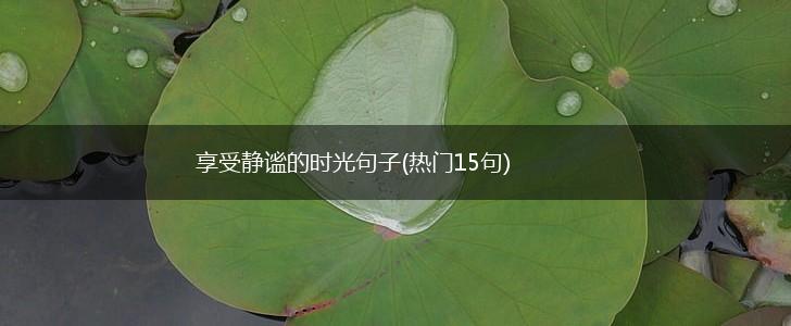 享受静谧的时光句子(热门15句),第1张