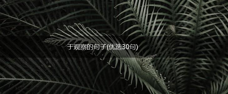 于观察的句子(优选30句),第1张