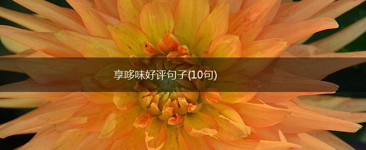 享哆味好评句子(10句),第1张