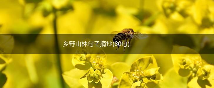 乡野山林句子摘抄(80句),第1张