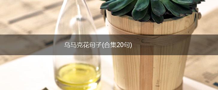乌马克花句子(合集20句),第1张
