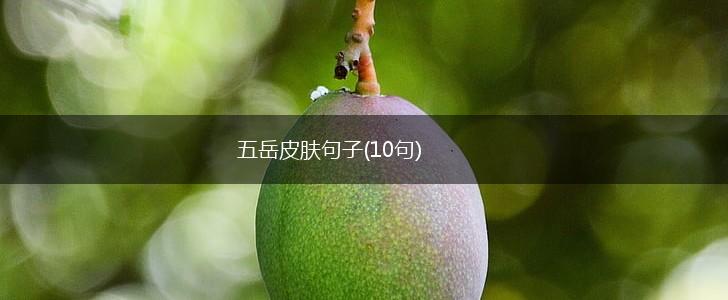 五岳皮肤句子(10句),第1张