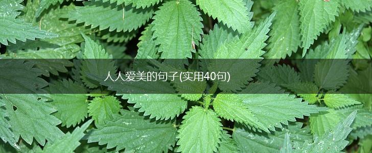 人人爱美的句子(实用40句),第1张
