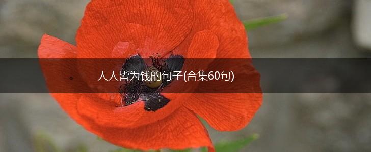 人人皆为钱的句子(合集60句),第1张