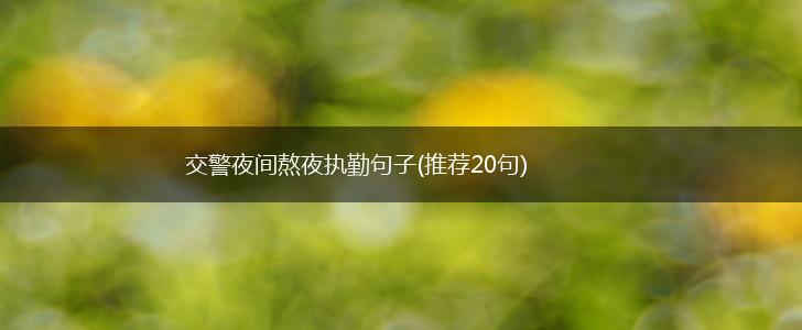 交警夜间熬夜执勤句子(推荐20句),第1张