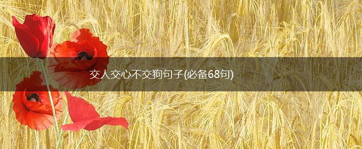 交人交心不交狗句子(必备68句),第1张
