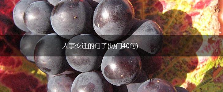 人事变迁的句子(热门40句),第1张