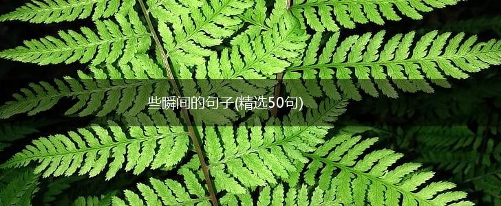些瞬间的句子(精选50句),第1张