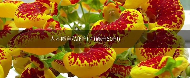 人不能自私的句子(通用60句),第1张